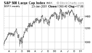 S&P 500 Large Cap Index